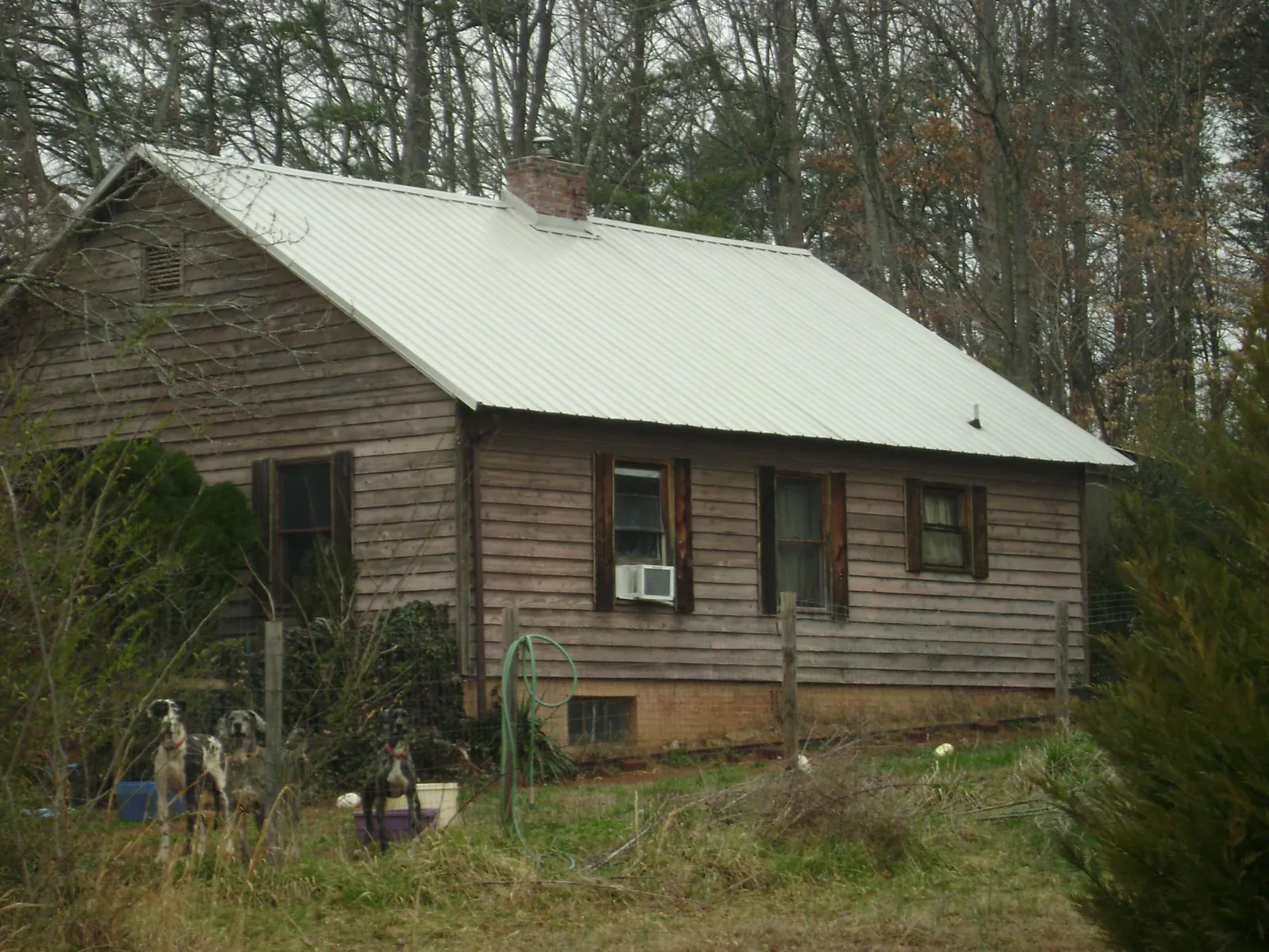 White metal roof on an old wood sided farmhouse, from a Asphalt Shingle Roof Repair job in Fremont